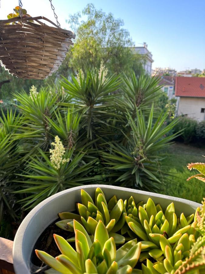 Location De Chambre Privee Dans Residence Prive, Jardins Et Parking Gratuit 1 Min To Tramway Et 9 Min De Centre-Ville, Accessibilite A Plusieurs Transports Nice Buitenkant foto
